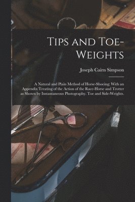 Tips and Toe-weights 1