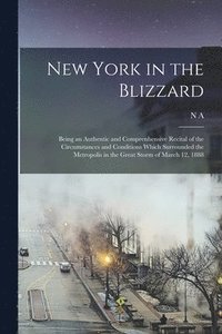 bokomslag New York in the Blizzard