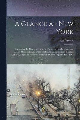 bokomslag Glance at New York