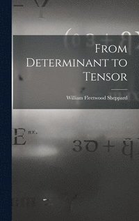 bokomslag From Determinant to Tensor