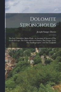 bokomslag Dolomite Strongholds