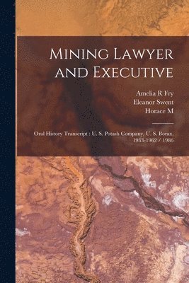 Mining Lawyer and Executive 1