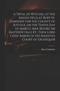 bokomslag A Tryal of Witches, at the Assizes Held at Bury St. Edmonds for the County of Suffolk, on the Tenth day of March, 1664, Before Sir Matthew Hale Kt., Then Lord Chief Baron of His Majesties Court of