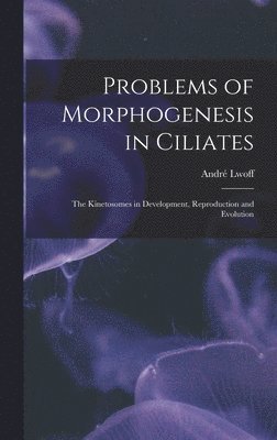 bokomslag Problems of Morphogenesis in Ciliates; The Kinetosomes in Development, Reproduction and Evolution