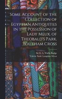 bokomslag Some Account of the Collection of Egyptian Antiquities in the Possession of Lady Meux, of Theobald's Park, Waltham Cross