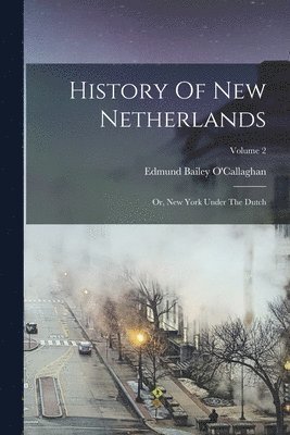 bokomslag History Of New Netherlands