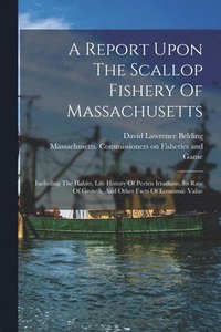 bokomslag A Report Upon The Scallop Fishery Of Massachusetts