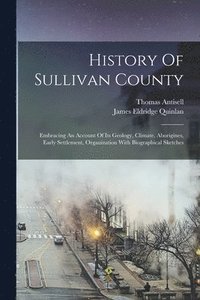 bokomslag History Of Sullivan County