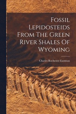 bokomslag Fossil Lepidosteids From The Green River Shales Of Wyoming
