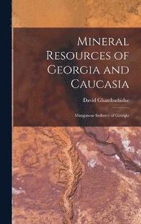 bokomslag Mineral Resources of Georgia and Caucasia