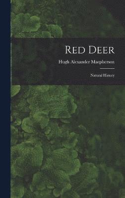 Red Deer 1