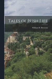 bokomslag Tales of Irish Life