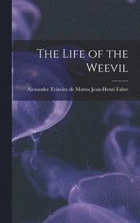 bokomslag The Life of the Weevil