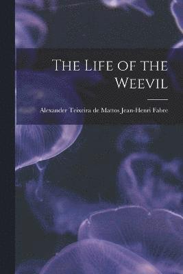 The Life of the Weevil 1