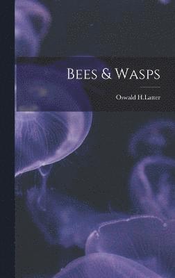 bokomslag Bees & Wasps