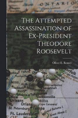 Oliver E Remey, Oliver E. Remey - Attempted Assassination of Ex-President Theodore Roosevelt, Häftad