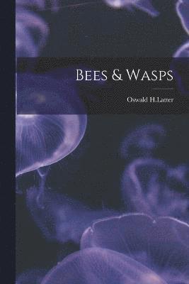 bokomslag Bees & Wasps