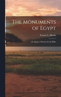 bokomslag The Monuments of Egypt; or, Egypt a Witness for the Bible
