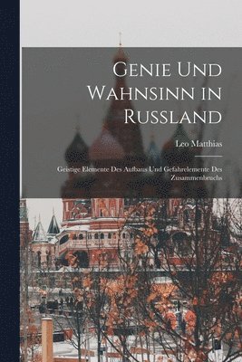 bokomslag Genie und Wahnsinn in Russland