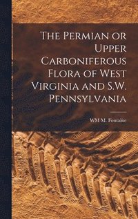 bokomslag The Permian or Upper Carboniferous Flora of West Virginia and S.W. Pennsylvania