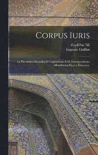bokomslag Corpus iuris; la piu antica raccolta di legislazione e di giurisprudenza musulmana finora ritrovata.