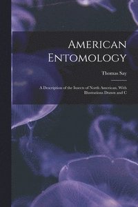 bokomslag American Entomology