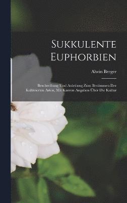 Sukkulente Euphorbien 1