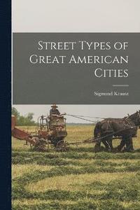 bokomslag Street Types of Great American Cities