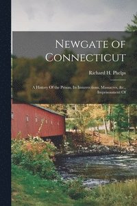 bokomslag Newgate of Connecticut