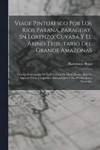 bokomslag Viage Pintoresco Por Los Rios Paran, Paraguay, Sn Lorenzo, Cuyab Y El Arino Tributario Del Grande Amazonas