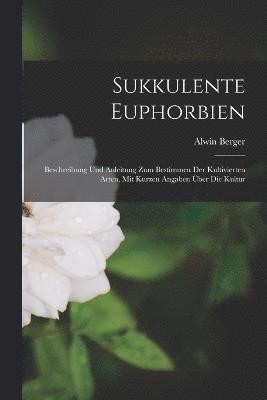 Sukkulente Euphorbien 1