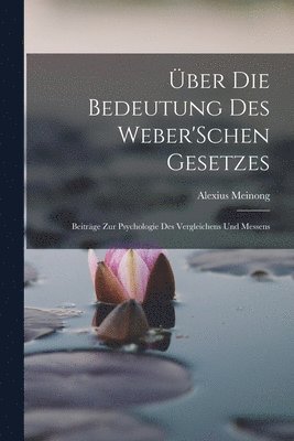 Alexius Meinong - Über Die Bedeutung Des Weber'Schen Gesetzes, Häftad
