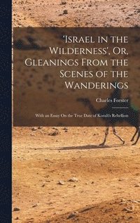 bokomslag 'israel in the Wilderness', Or, Gleanings From the Scenes of the Wanderings