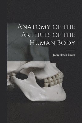 Anatomy of the Arteries of the Human Body 1