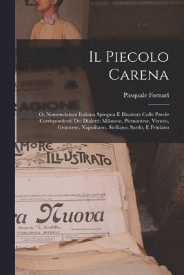 Il Piecolo Carena 1