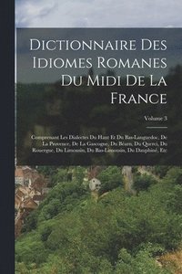 bokomslag Dictionnaire Des Idiomes Romanes Du Midi De La France