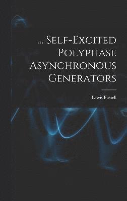 bokomslag ... Self-Excited Polyphase Asynchronous Generators