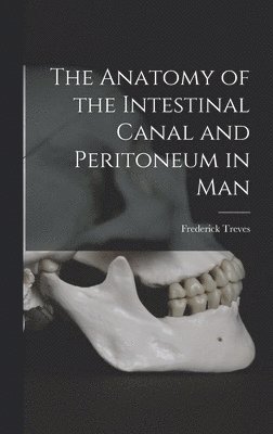 The Anatomy of the Intestinal Canal and Peritoneum in Man 1