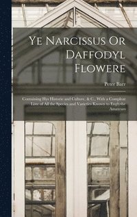 bokomslag Ye Narcissus Or Daffodyl Flowere