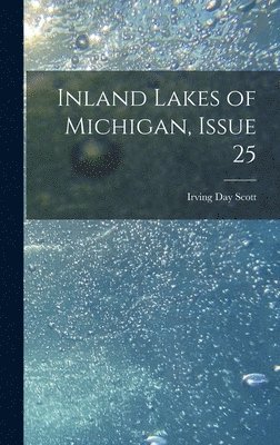 bokomslag Inland Lakes of Michigan, Issue 25