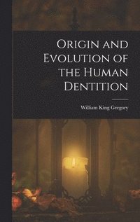 bokomslag Origin and Evolution of the Human Dentition