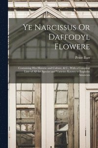 bokomslag Ye Narcissus Or Daffodyl Flowere