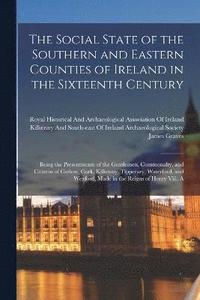 bokomslag The Social State of the Southern and Eastern Counties of Ireland in the Sixteenth Century