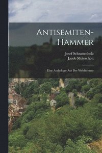 bokomslag Antisemiten-Hammer