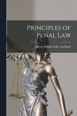 bokomslag Principles of Penal Law