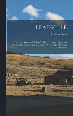 bokomslag Leadville