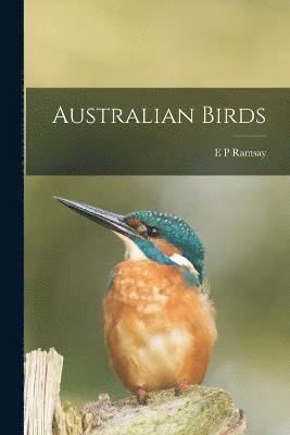 Australian Birds 1