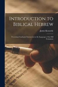 bokomslag Introduction to Biblical Hebrew