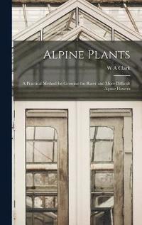 bokomslag Alpine Plants