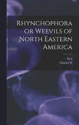 Rhynchophora or Weevils of North Eastern America 1